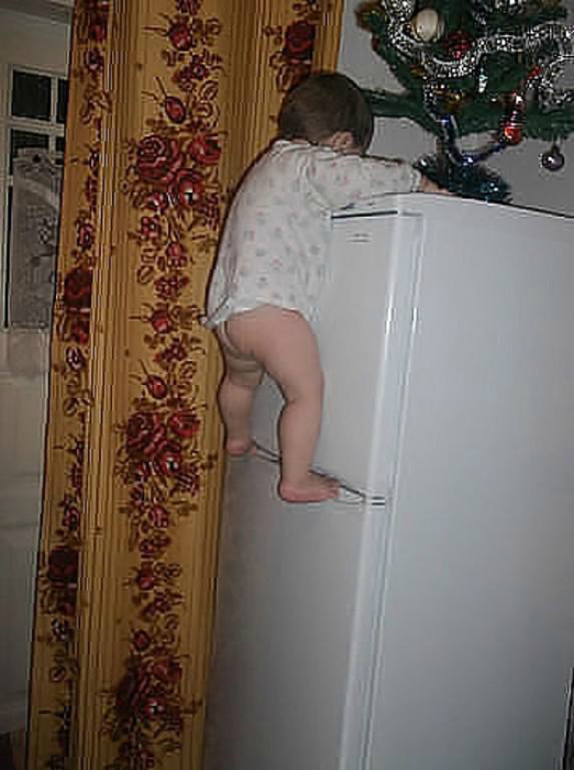 ялинка на холодильнику