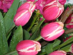 Зображення користувача maricabelle.