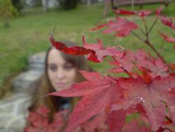 Зображення користувача Уляна.