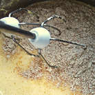 Добавляем полезную муку.