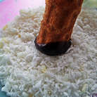 Затем обмакнуть в кокос...