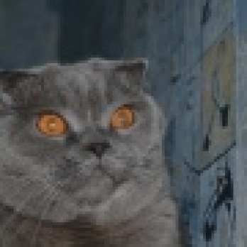 А у нас живет британец