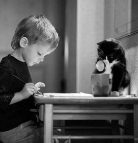 Діти та коти