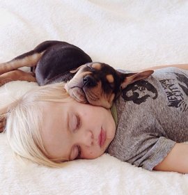 Не заважати! Я сплю!