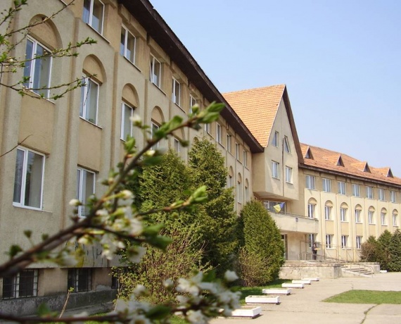 Лідер, багатопрофільний ліцей (ЗОШ І-ІІІ ступенів школа №20 м.Ужгорода)