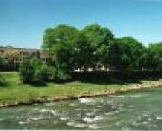 Інтелект, багатопрофільний ліцей (колишня ЗОШ №11 Ужгород