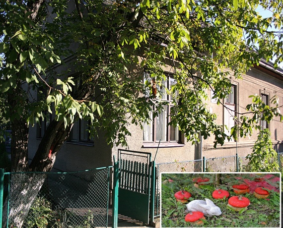 Дитячий садочок № 2