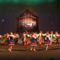 Джерельця Карпат, зразковий дитячий ансамбль народного танцю