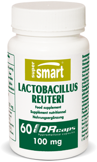 Lactobacillus reuteri
