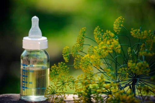 Вода з кропом