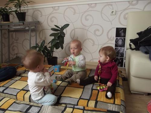 Фестиваль Фестиваль