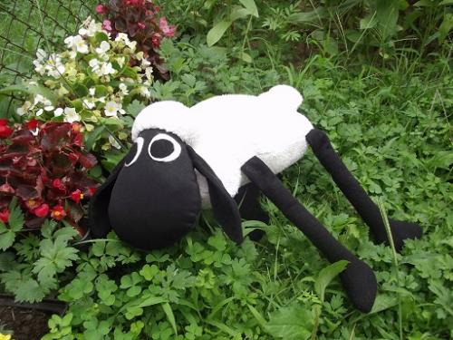 Баранчик Шон Баранчик Шон