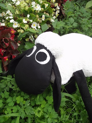 Баранчик Шон Баранчик Шон