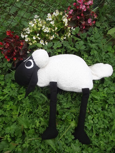 Баранчик Шон Баранчик Шон