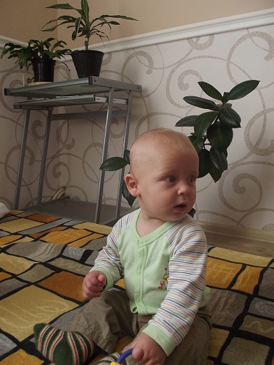 Фестиваль Фестиваль