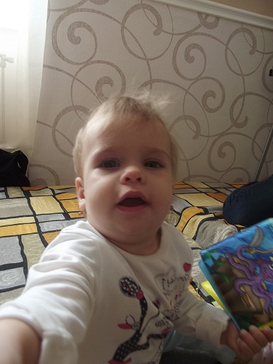 Фестиваль Фестиваль