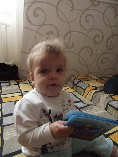 Фестиваль Фестиваль