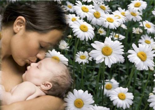 з днем матері